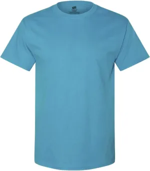 Hanes mens 5280