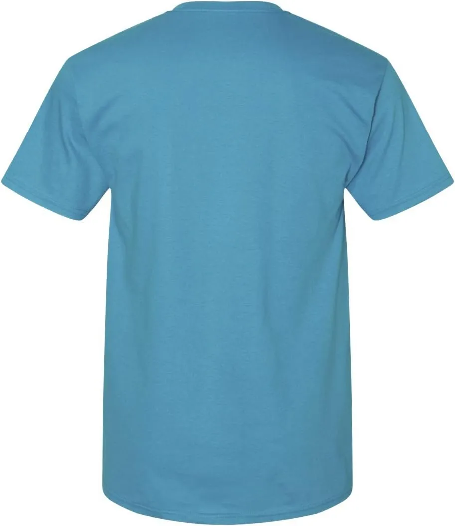 Hanes mens 5280
