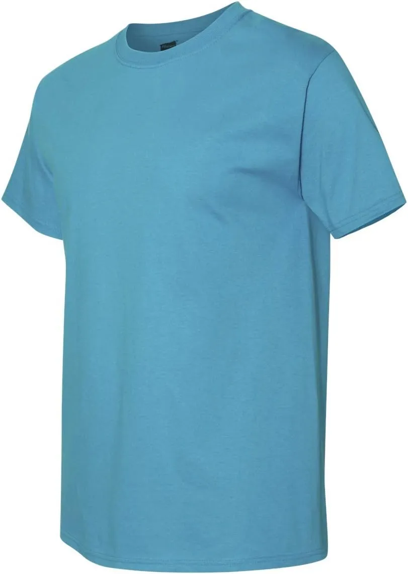 Hanes mens 5280